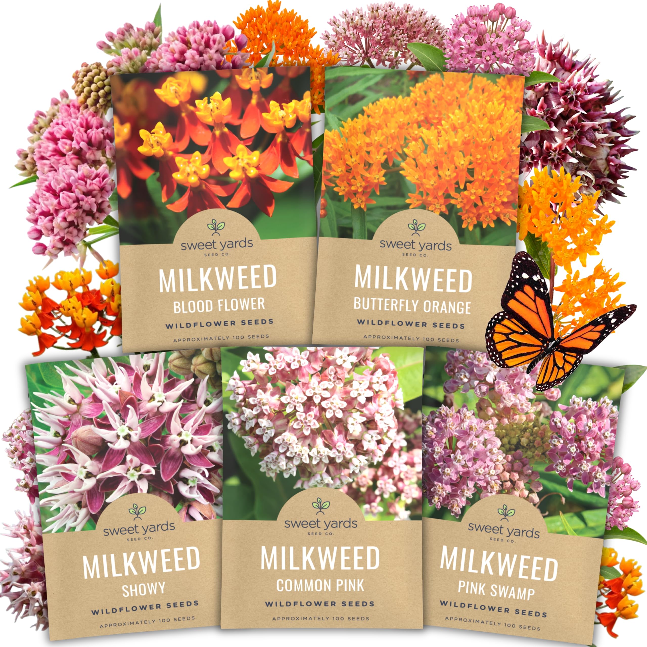 SWEET YARDS Milkweed Seed Variety Pack featuring five individual seed packets