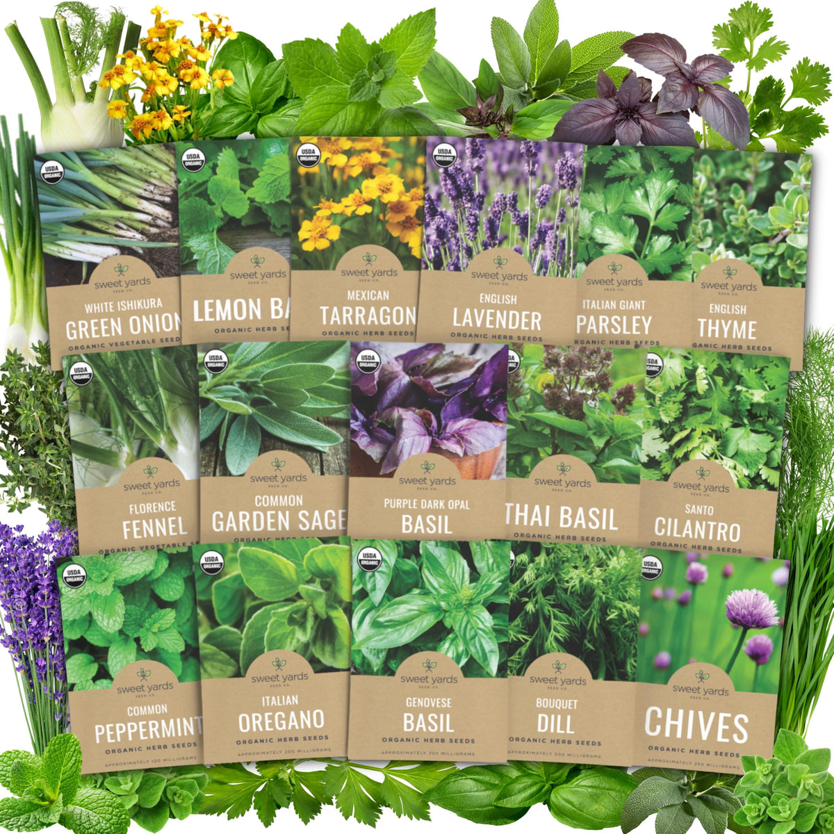 SWEET YARDS Organic Herb Seeds Variety Pack front view