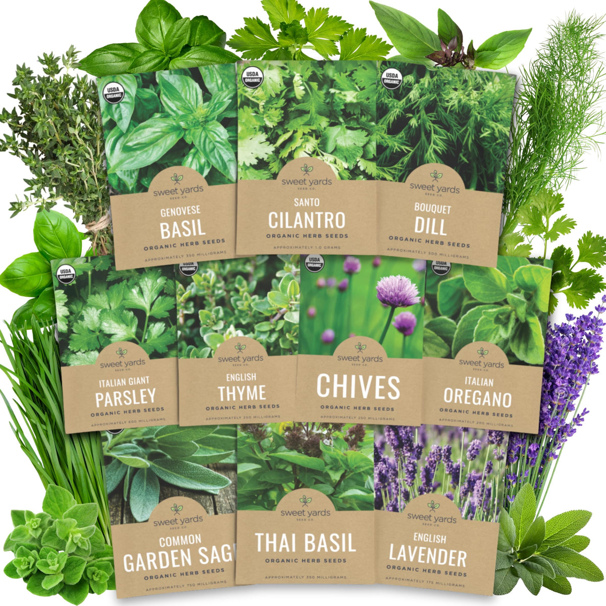 SWEET YARDS Organic Herb Seeds Variety Pack front view