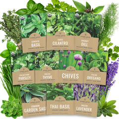 SWEET YARDS Organic Herb Seeds Variety Pack front view