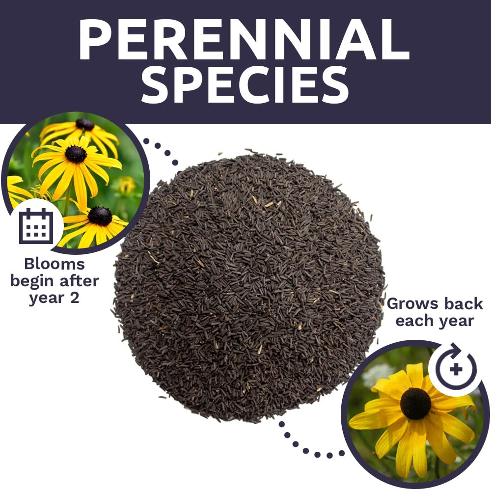 SWEET YARDS seed bag with planting instructions