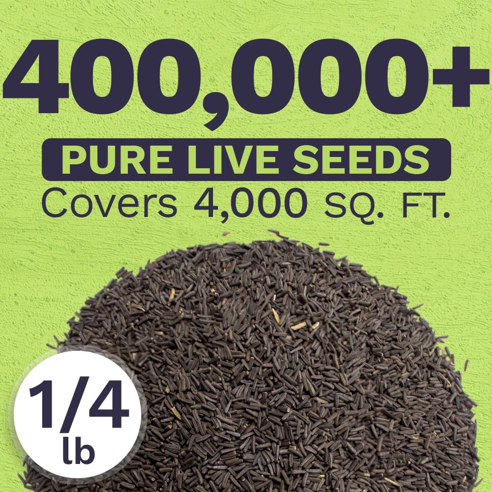 SWEET YARDS seed packet with Black Eyed Susan seeds