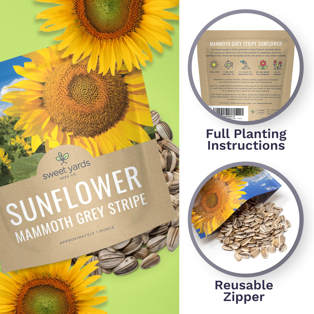 SWEET YARDS sunflower seeds ready for planting