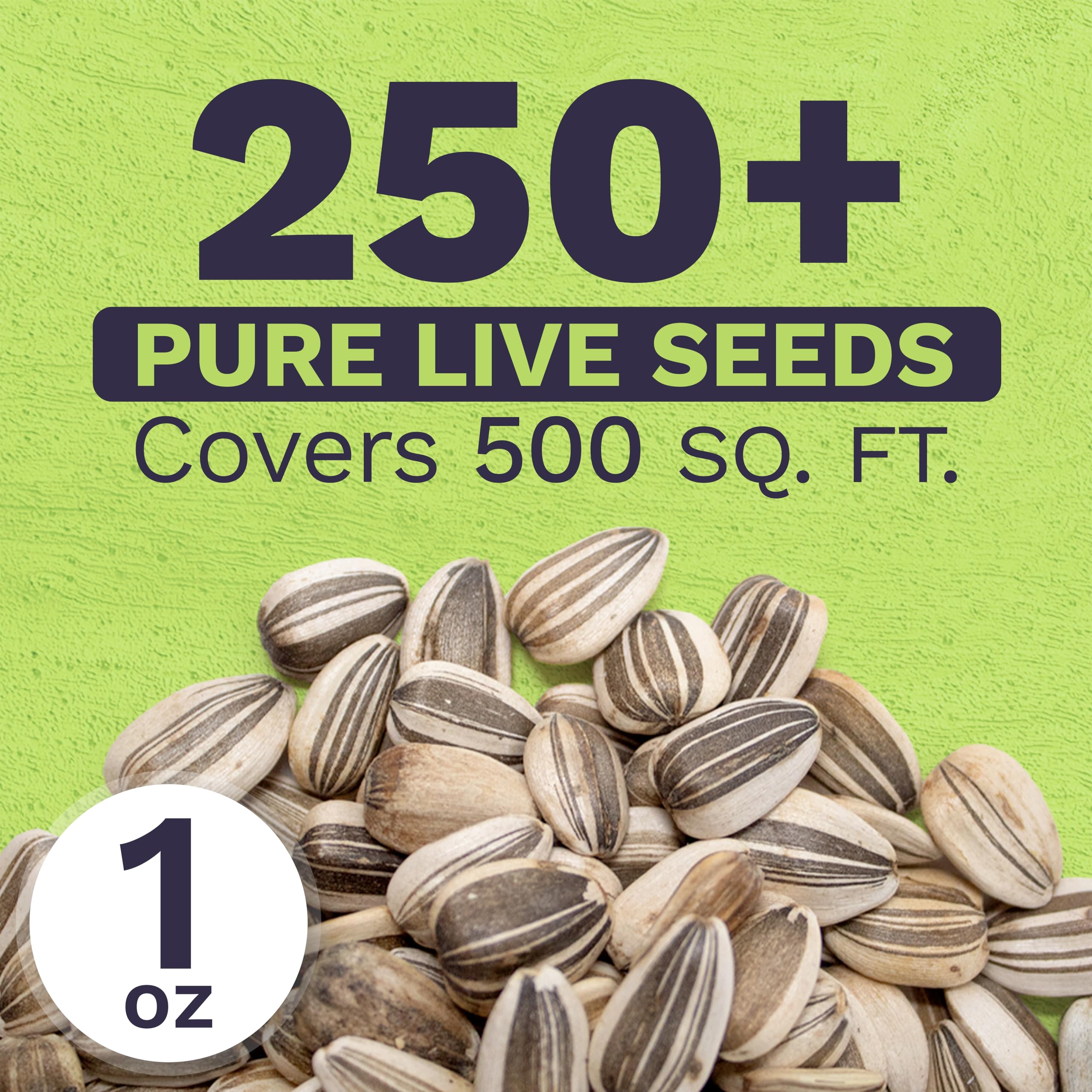 SWEET YARDS sunflower seeds with planting instructions