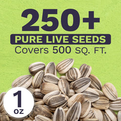 SWEET YARDS sunflower seeds with planting instructions