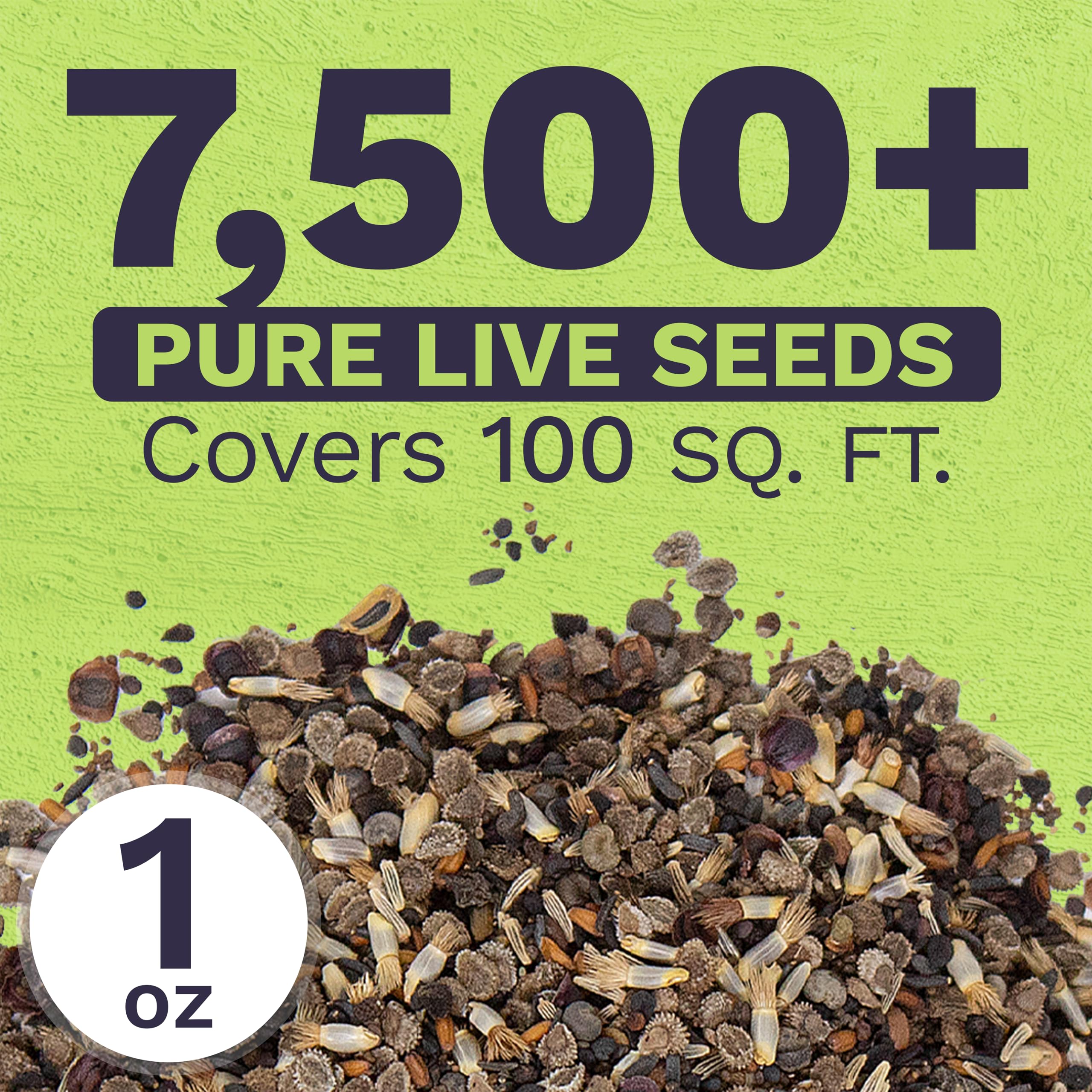 SWEET YARDS Wildflower Seeds in garden setting