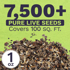 SWEET YARDS Wildflower Seeds in garden setting