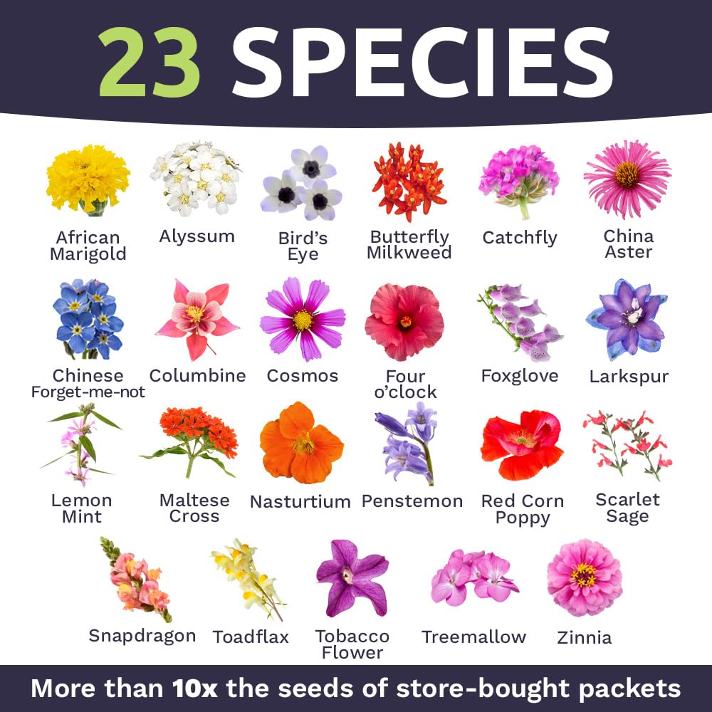 SWEET YARDS wildflower seeds in garden setting with flowers