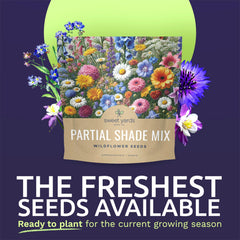 SWEET YARDS Wildflower Seeds packaging details