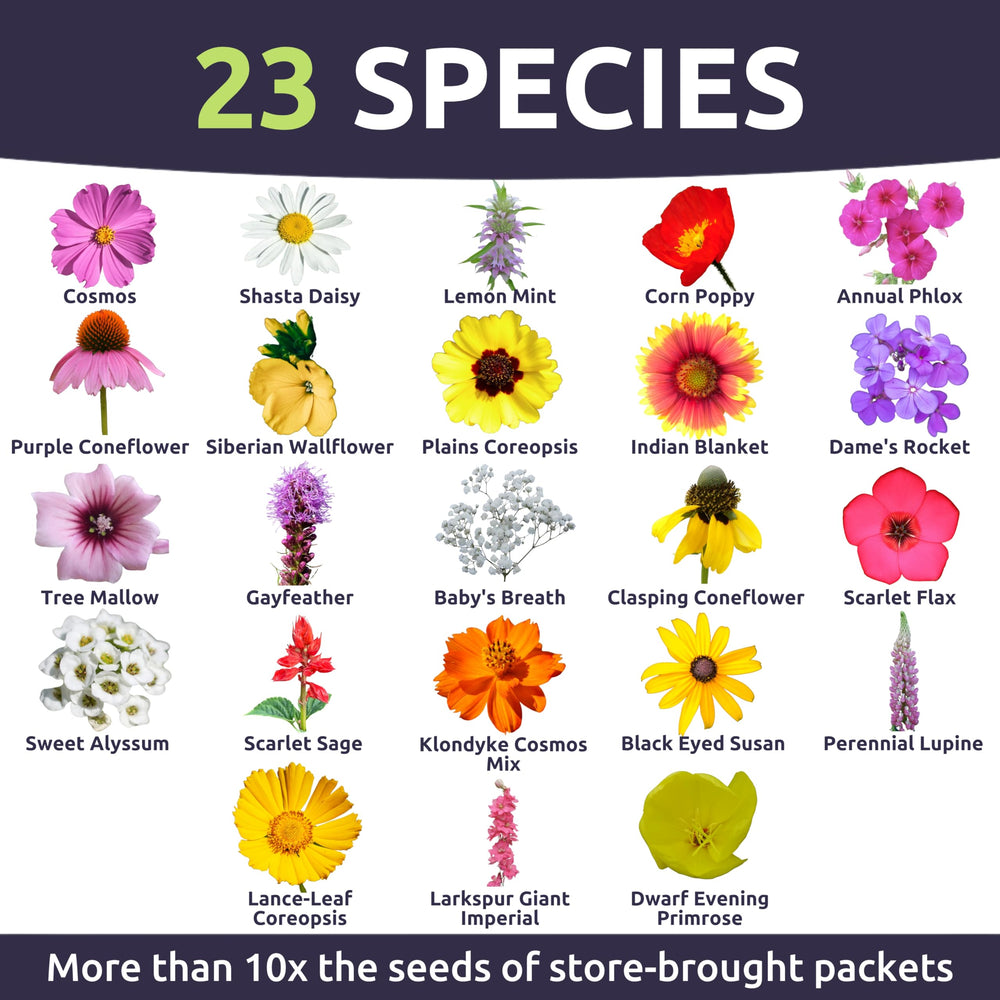 SWEET YARDS wildflower seeds packet showing zipper opening