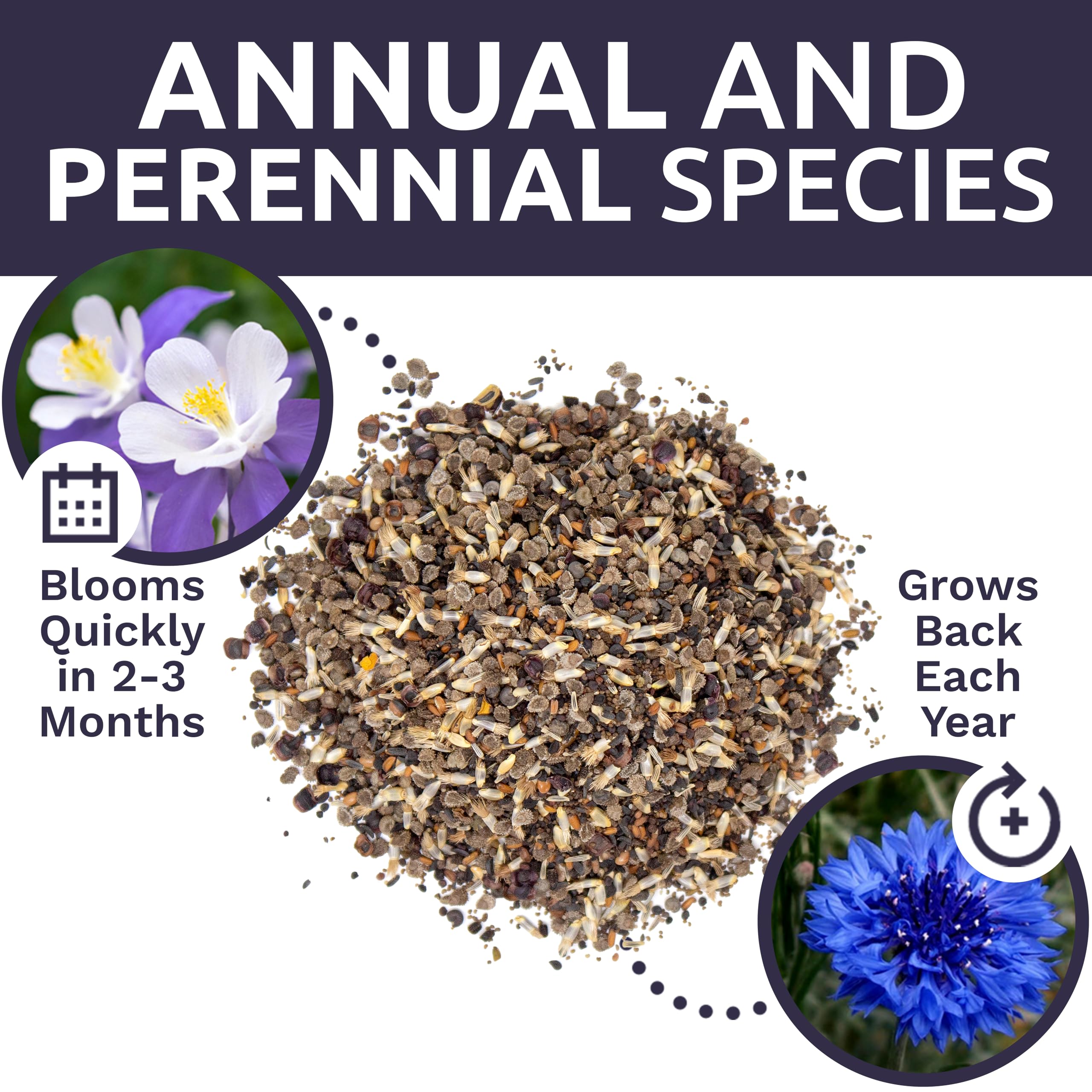 SWEET YARDS Wildflower Seeds partial shade garden
