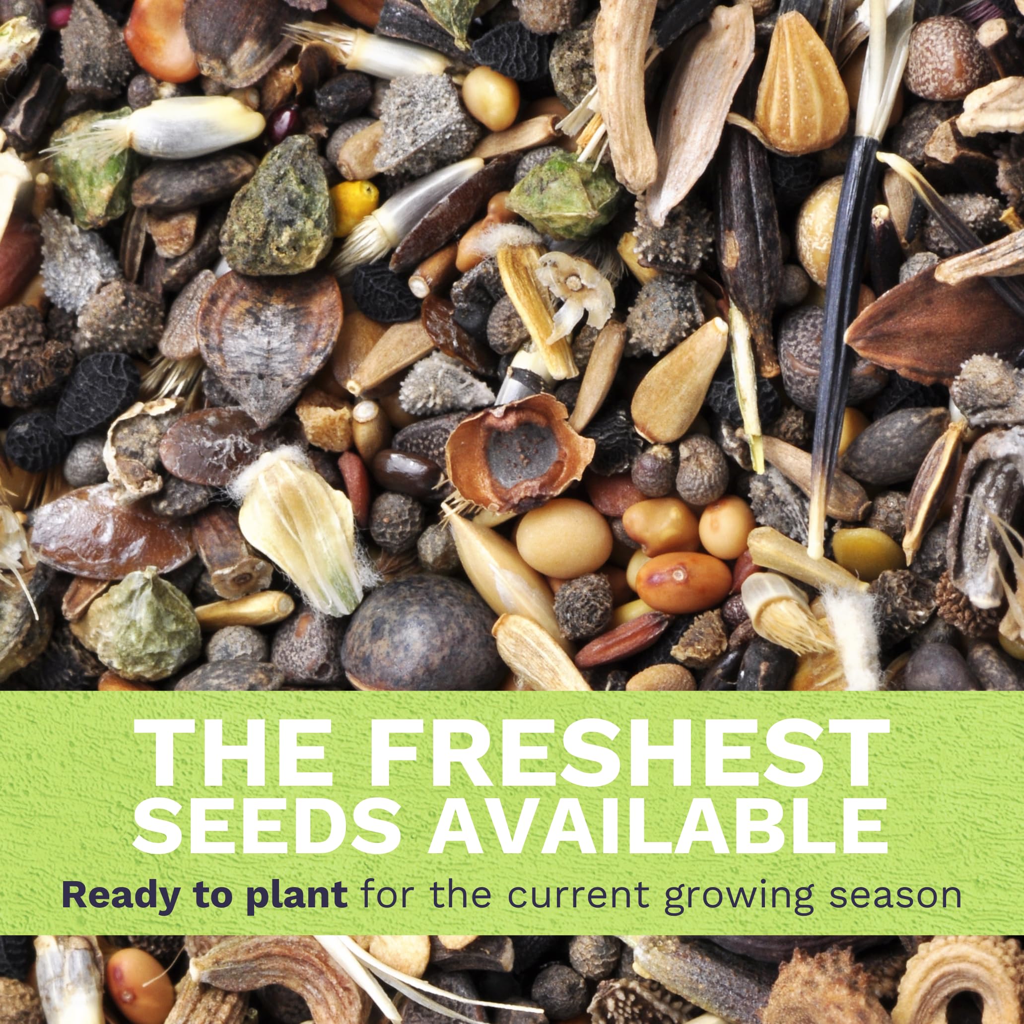 SWEET YARDS wildflower seeds planted in a garden