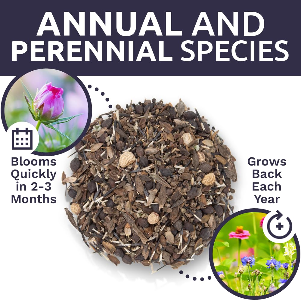 SWEET YARDS wildflower seeds with butterflies and hummingbirds