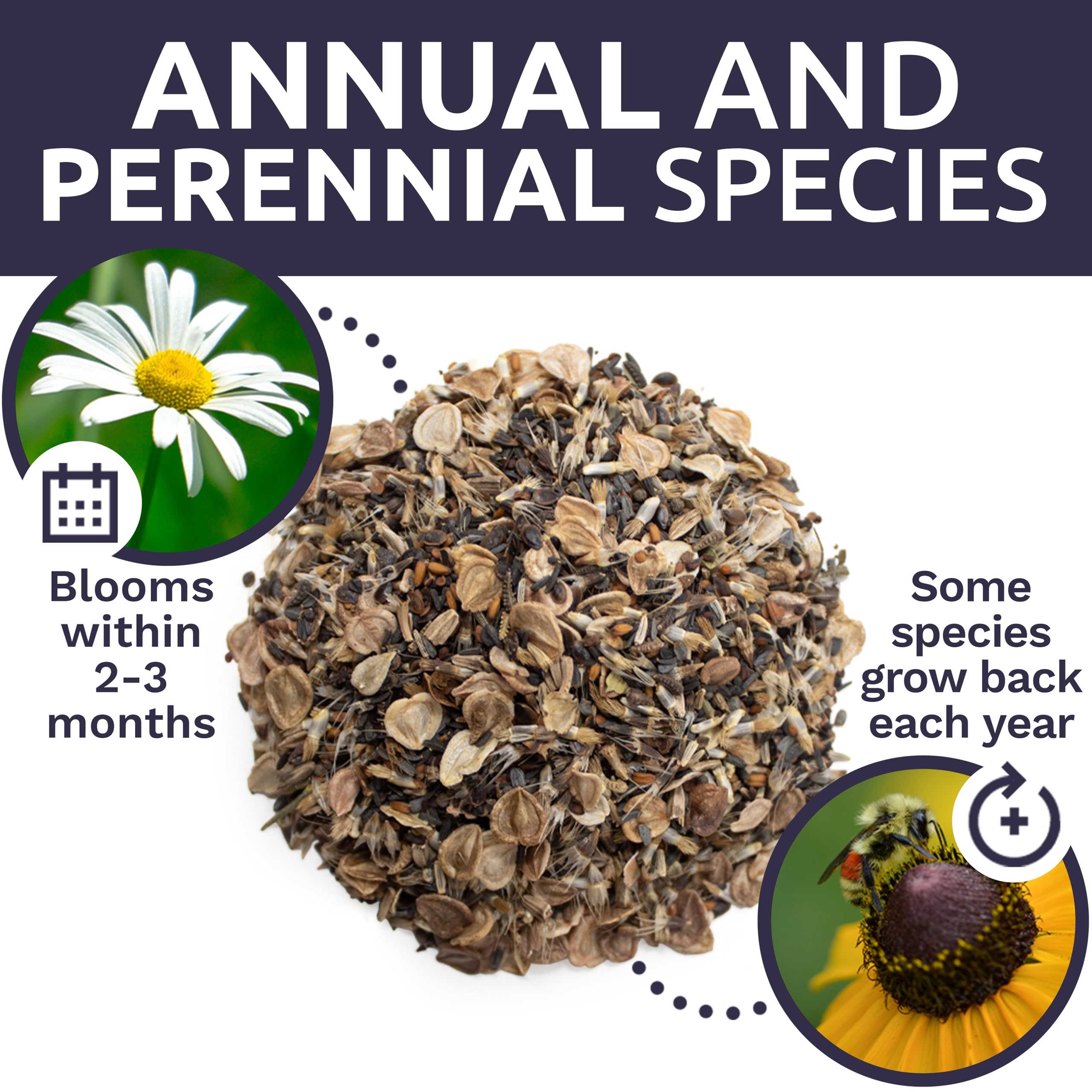 SWEET YARDS wildflowers in a garden setting