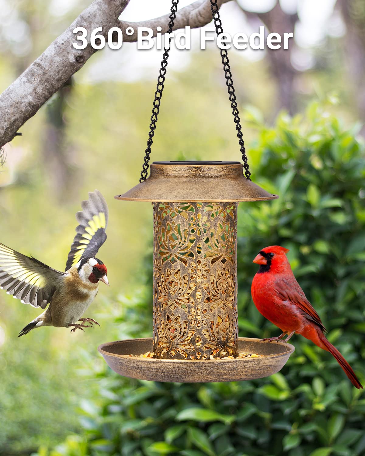 SWEETFULL Solar Bird Feeder under rain protection