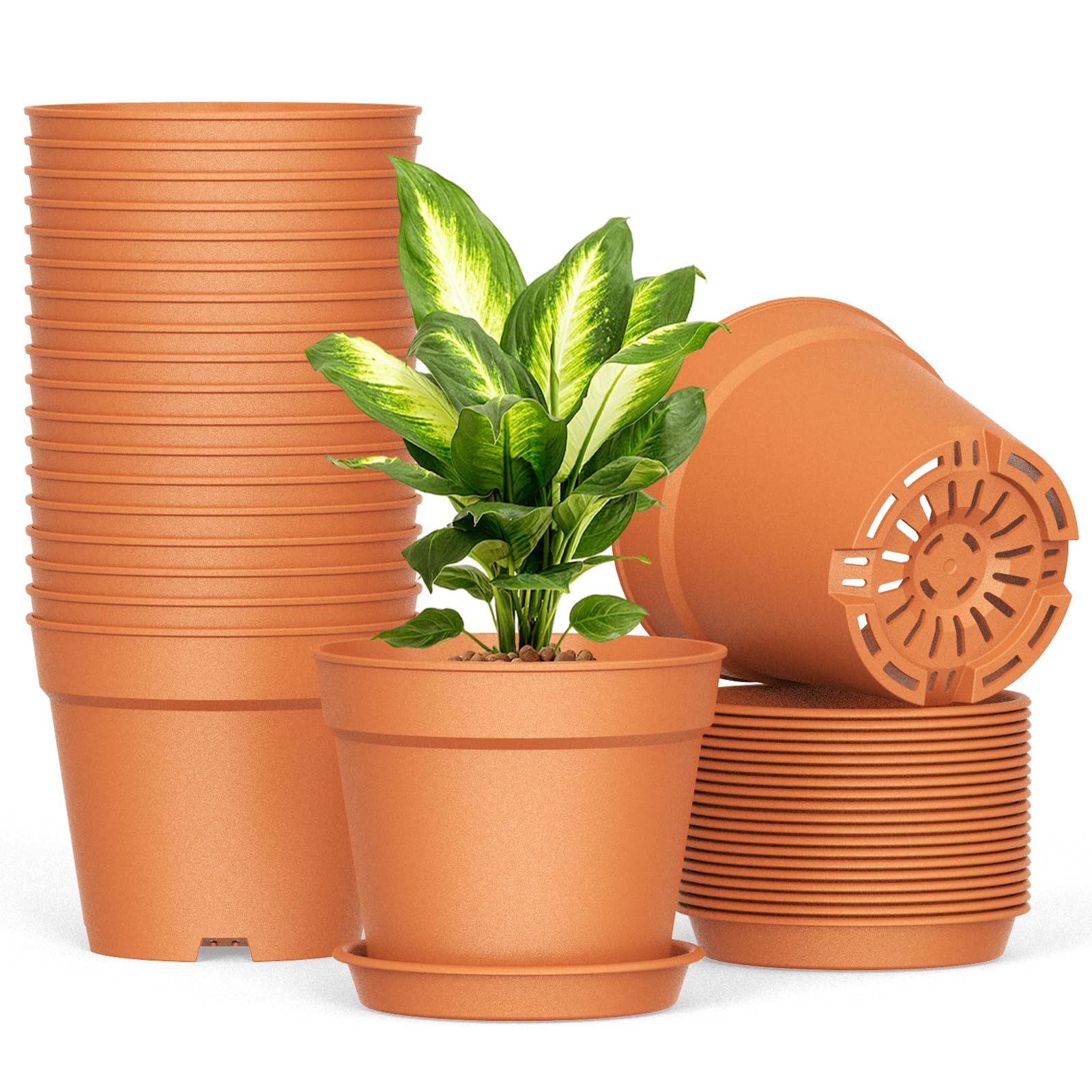 SwinDuck 20 pack 6 inch terracotta plant pots with saucers front view