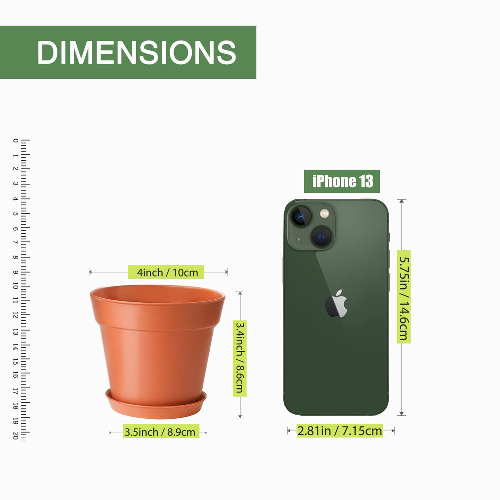 SwinDuck 4-inch plant pot with soil and saucer