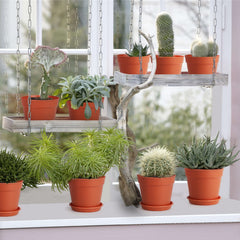 SwinDuck 4-inch small plant pot with drainage holes
