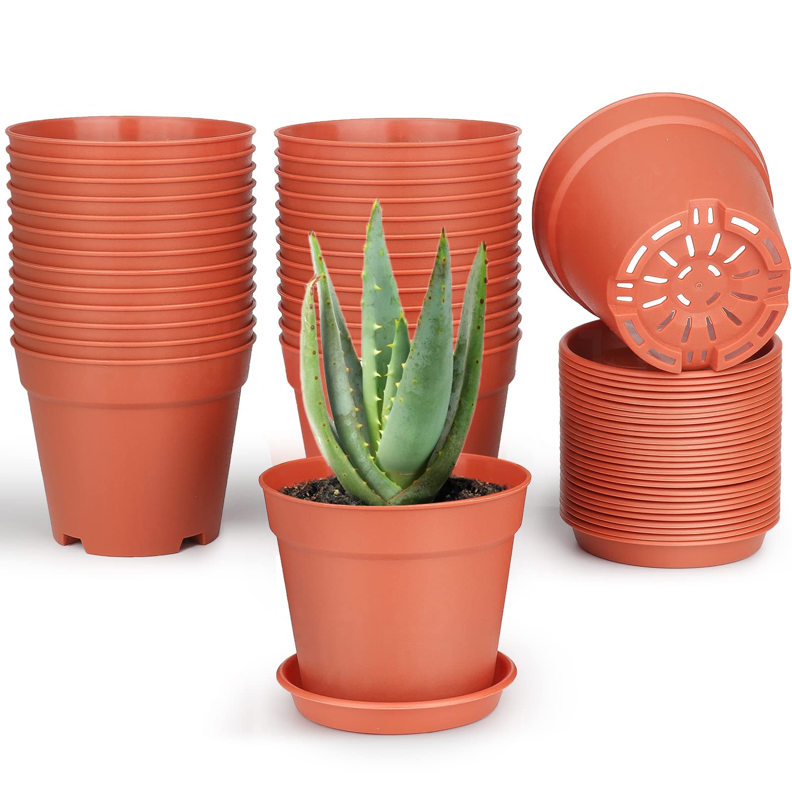 SwinDuck 4-inch terracotta plant pot front view with saucer
