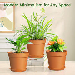 SwinDuck 6 inch plant pot filled with herbs