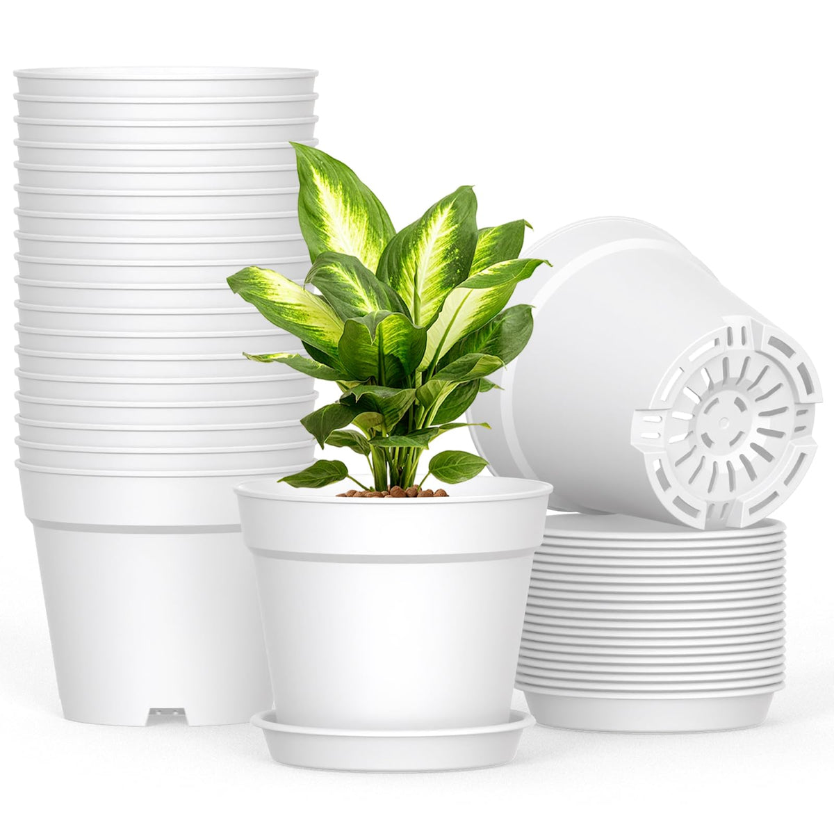 SwinDuck 6 Inch plant pots with saucers in white, front view