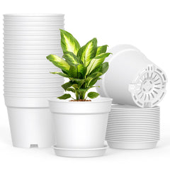 SwinDuck 6 Inch plant pots with saucers in white, front view