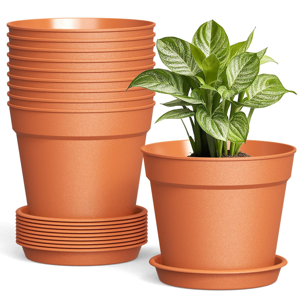 SwinDuck 6 inch terracotta plant pot front view with saucer