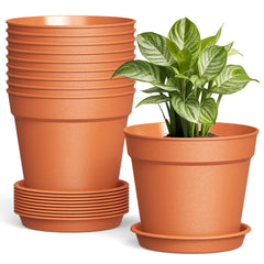 SwinDuck 6 inch terracotta plant pot front view with saucer