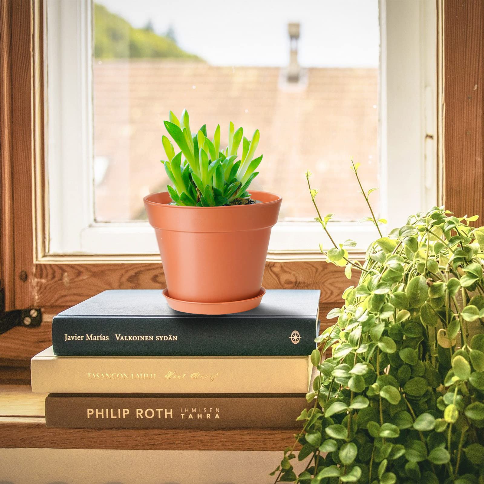 SwinDuck small plant pot with succulent inside