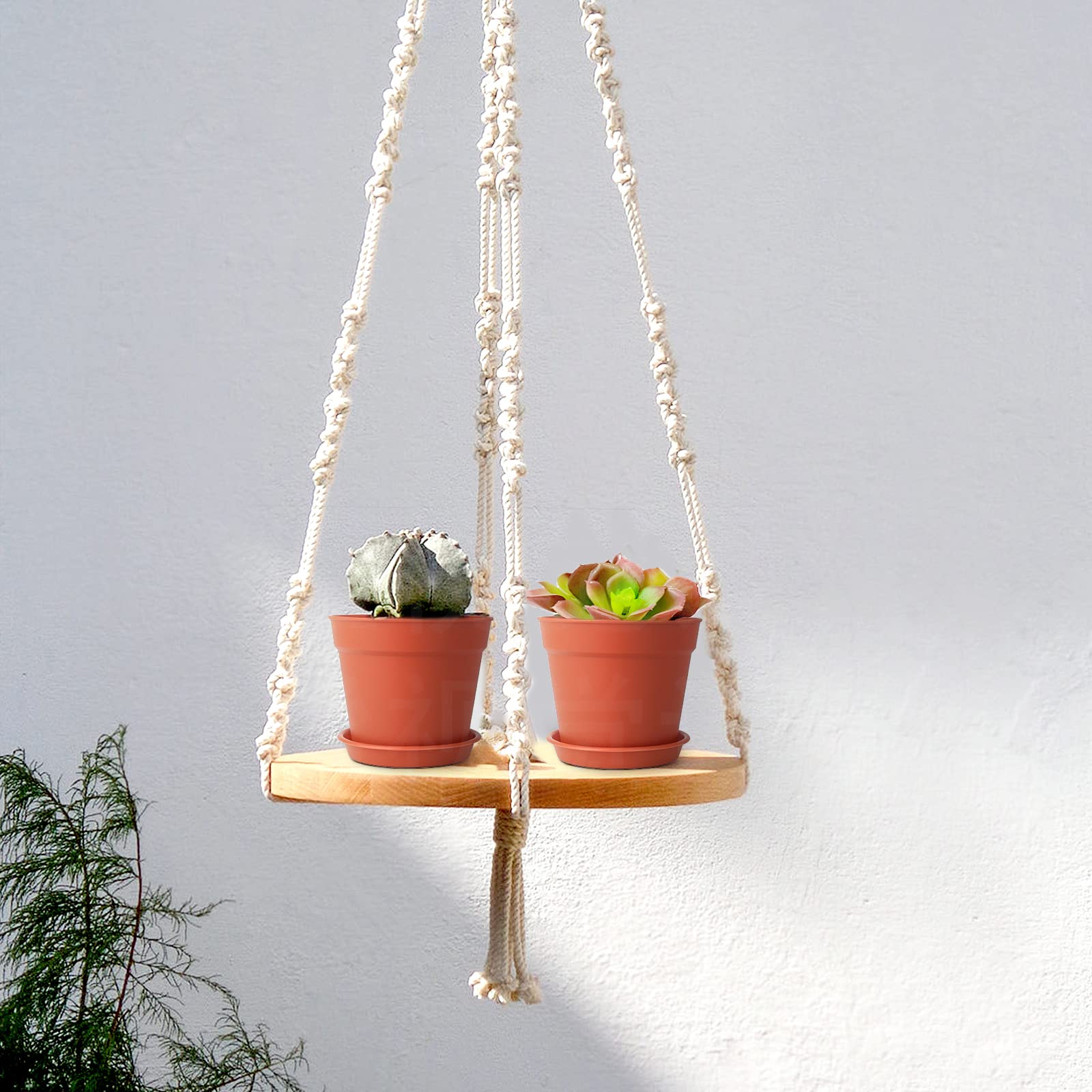 SwinDuck terracotta plant pot with herbs on a window sill