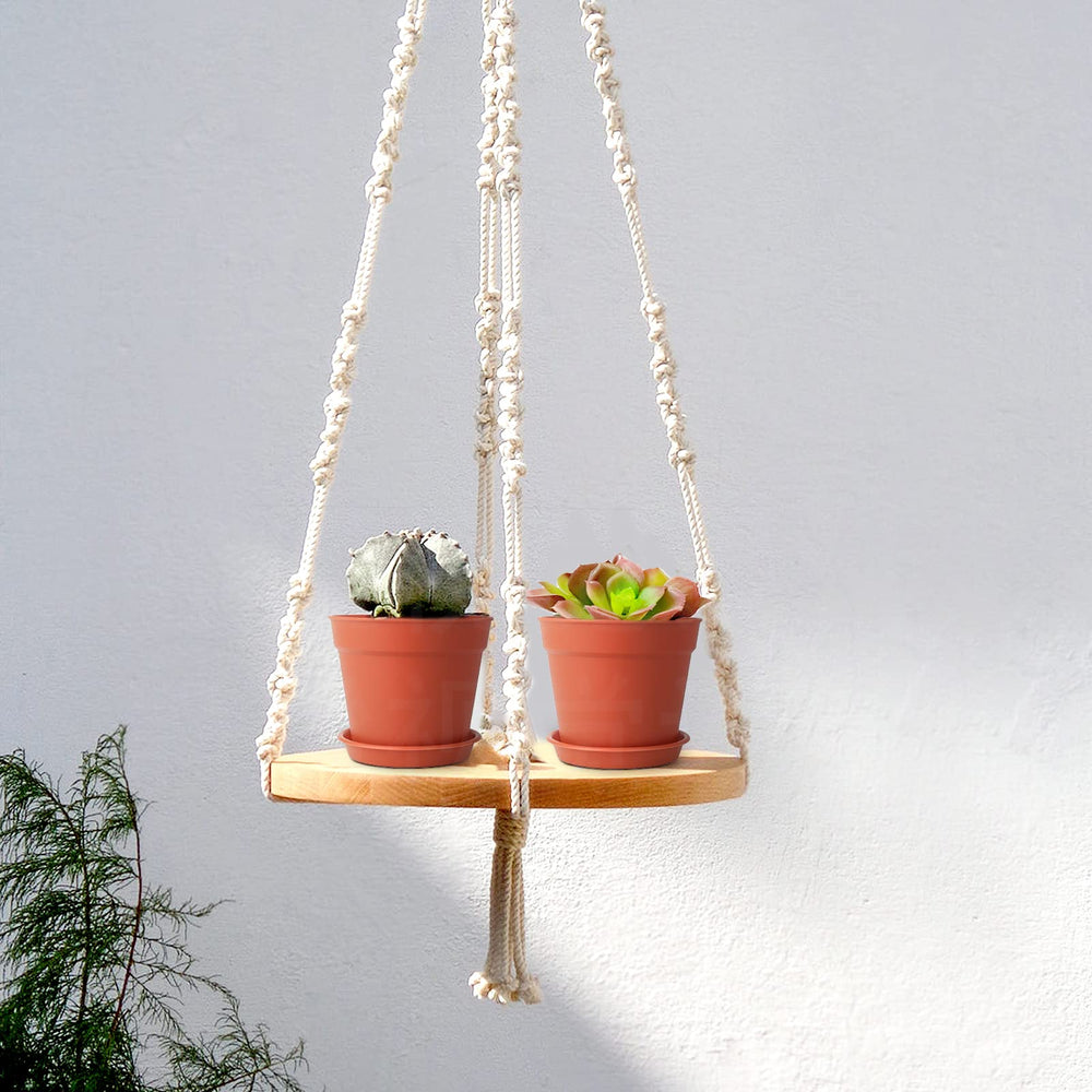 SwinDuck terracotta plant pot with herbs on a window sill