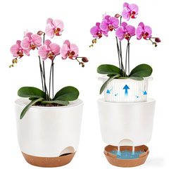Sxueg Self Watering Orchid Pot 5.8 Inch white front view