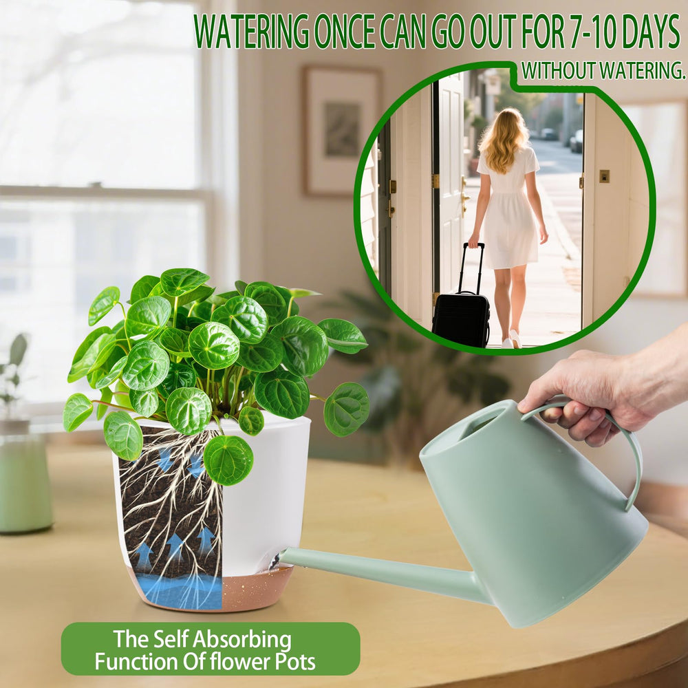 Sxueg Self Watering Orchid Pot in outdoor garden