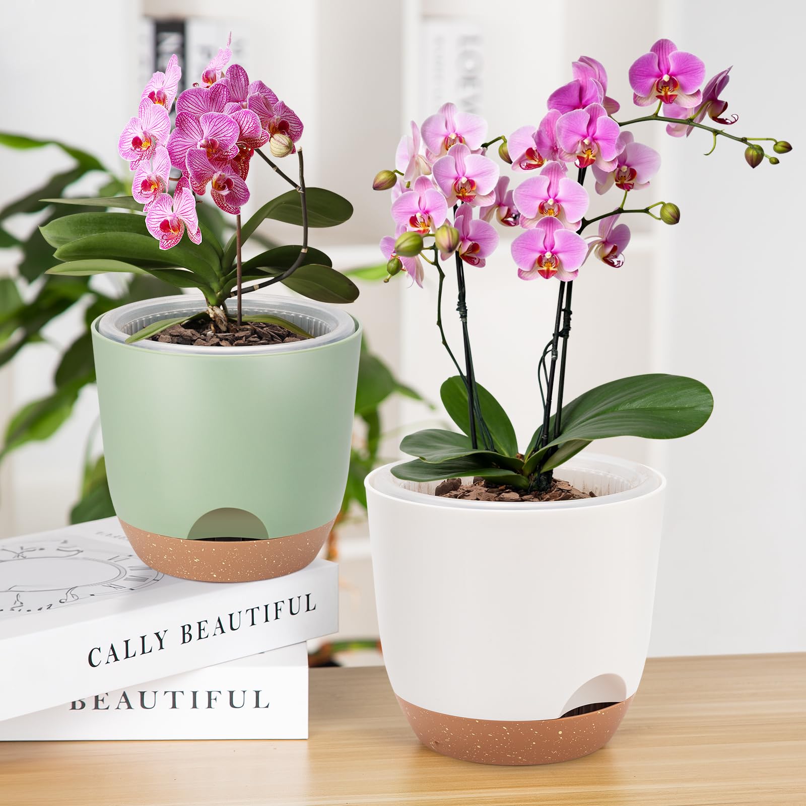 Sxueg Self Watering Orchid Pot showing water gauge