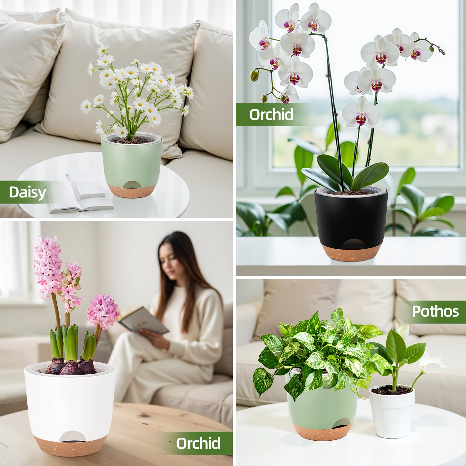 Sxueg Self Watering Orchid Pot with plants