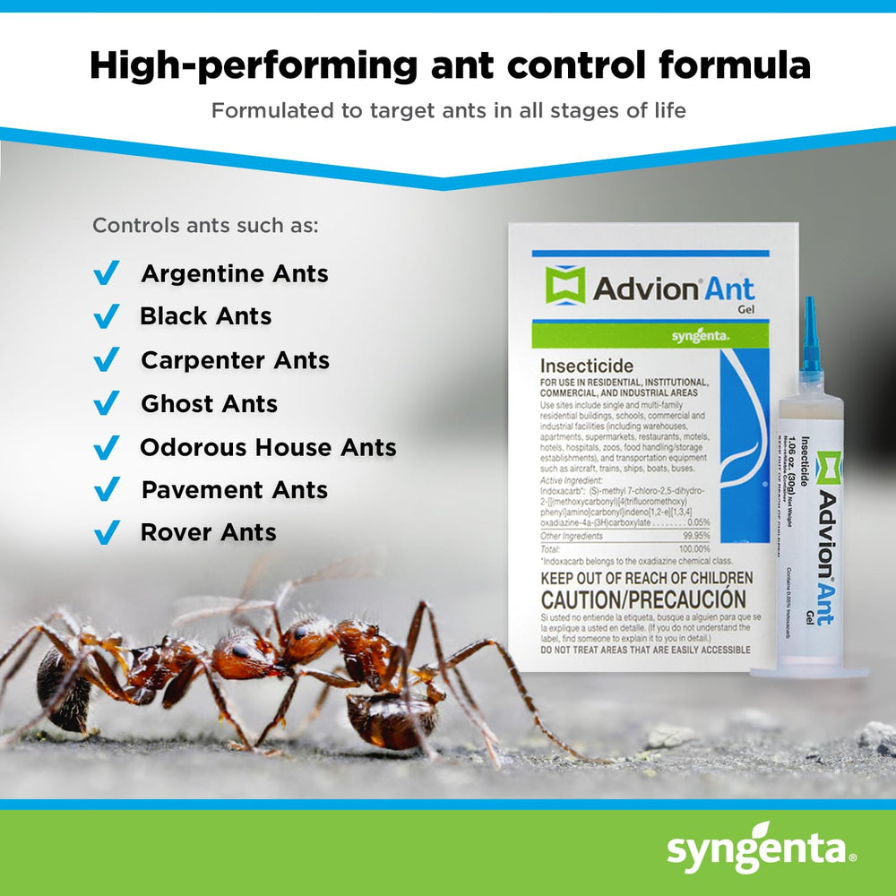 Syngenta Advion Ant Gel Bait 30g application process