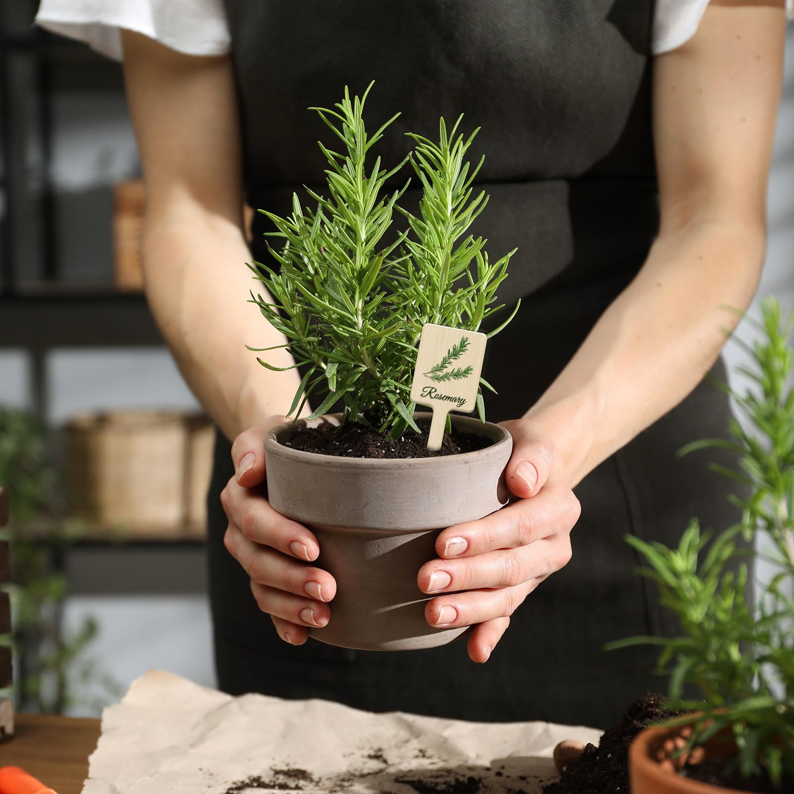 T-shaped acrylic plant labels easily inserted into soil