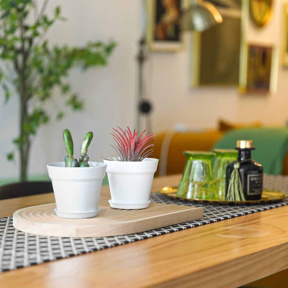 T4U 4 inch white plant pot with herbs, indoor setting