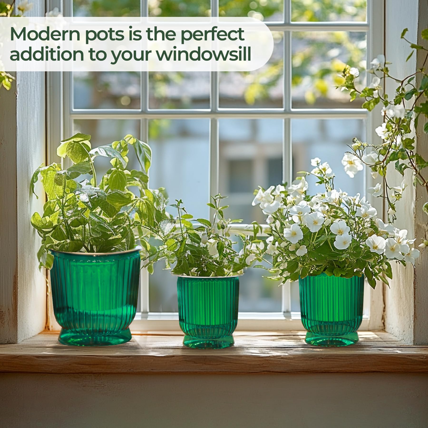T4U 4 pack self watering pots with packaging