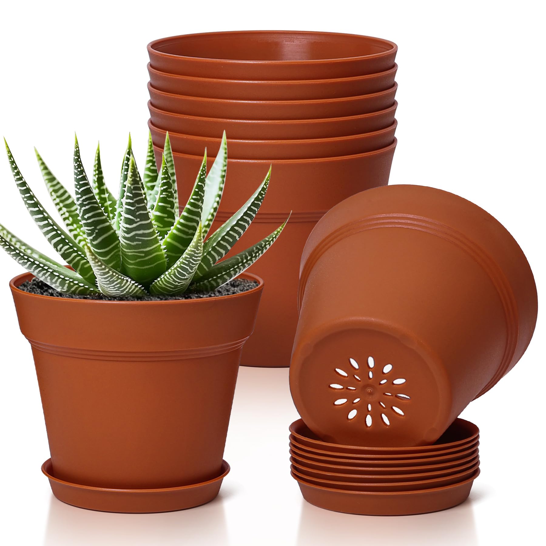 T4U 5 Inch Terracotta Pot front view with saucer