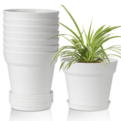 T4U 6 Inch plant pot set with saucers in white color