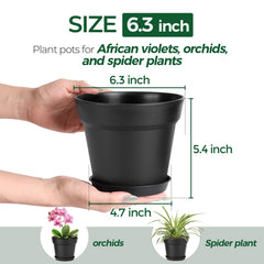 T4U 6 inch plant pots arranged with succulents