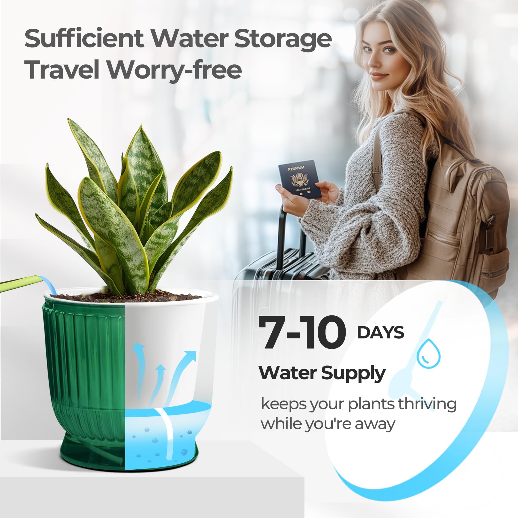 T4U 6 inch self watering pot with plants