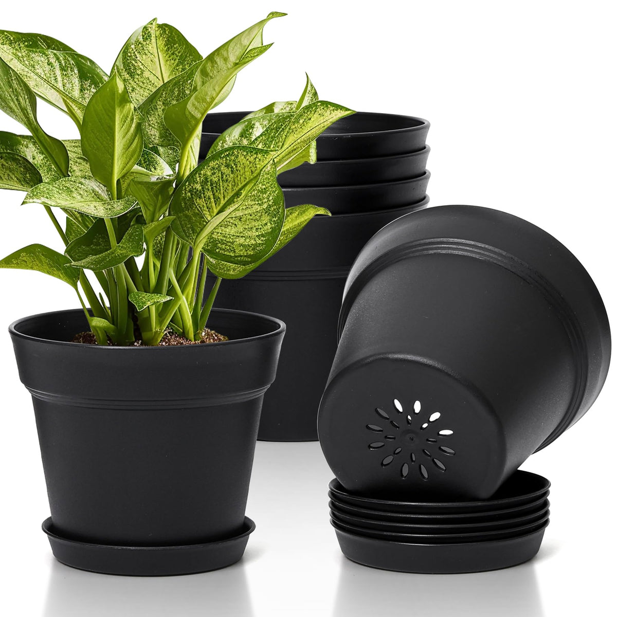 T4U 7.5 inch black flower pot front view with drainage holes