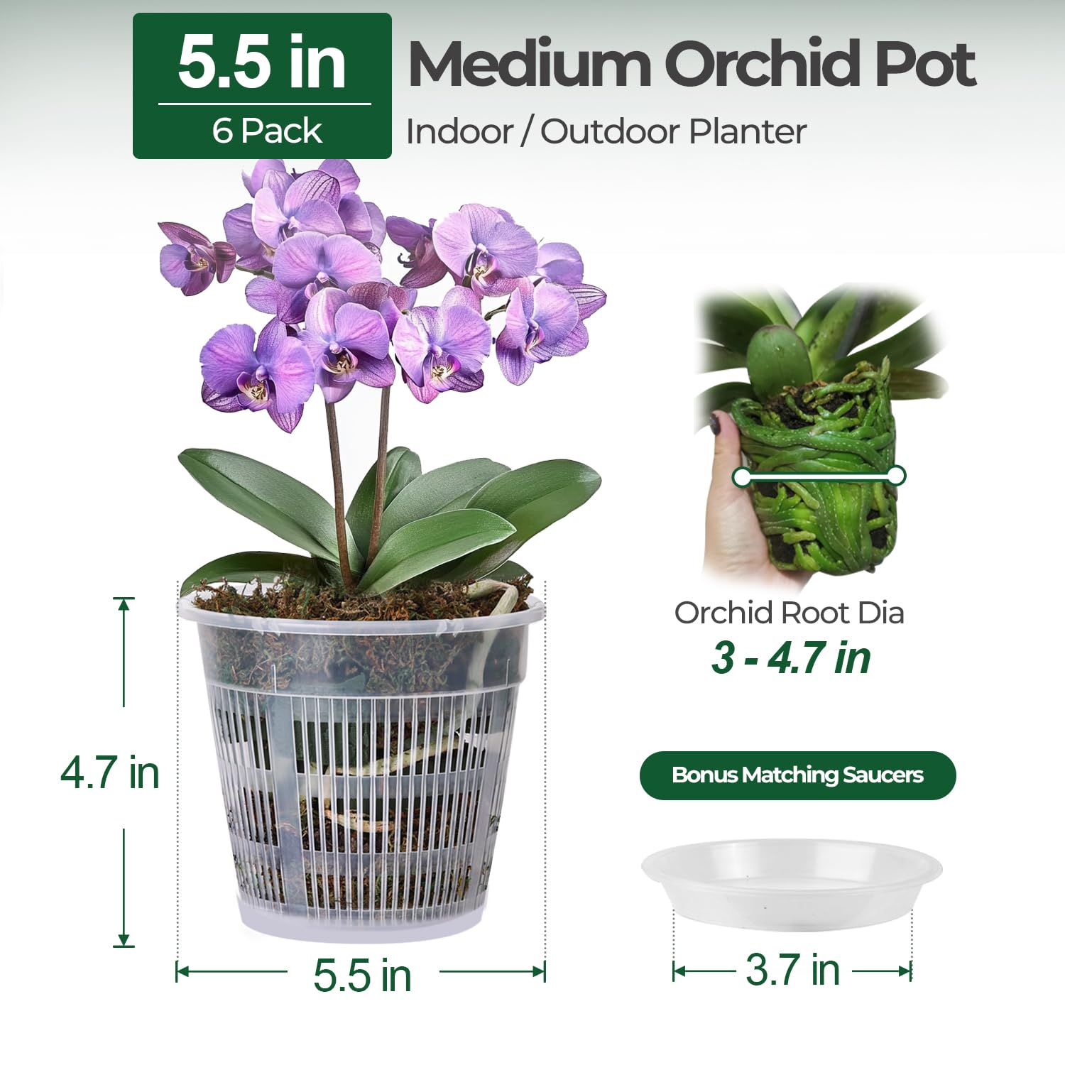 T4U Clear Orchid Pot 5.5 inch side view with matching saucer