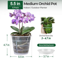 T4U Clear Orchid Pot 5.5 inch side view with matching saucer