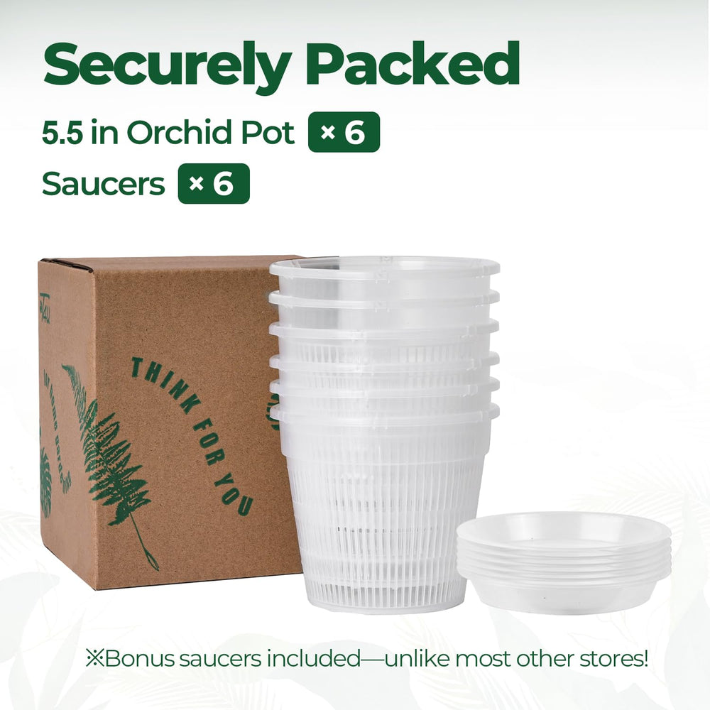 T4U Clear Orchid Pot on a wooden table with plants