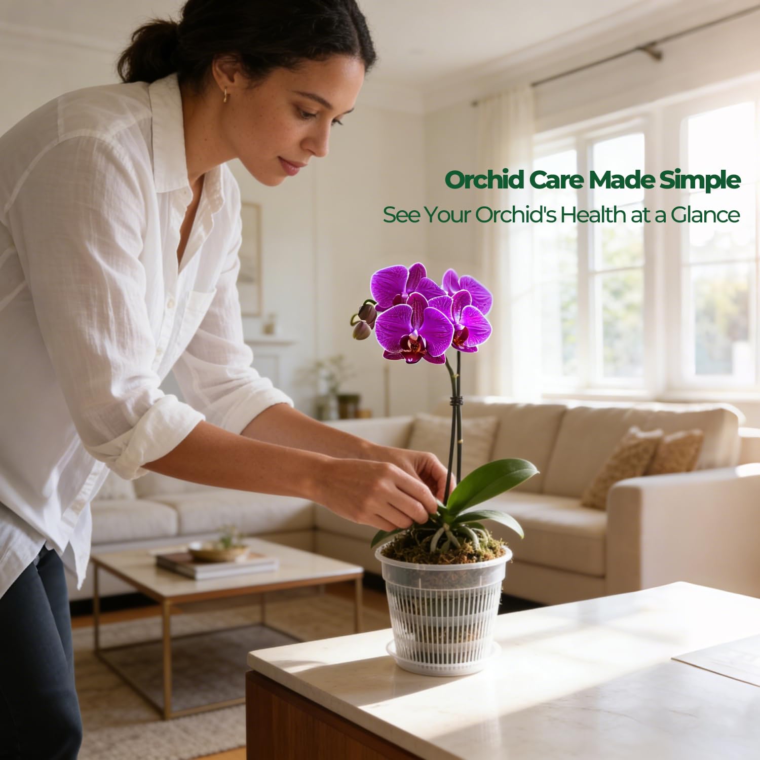 T4U Clear Orchid Pot showing transparent design for root monitoring