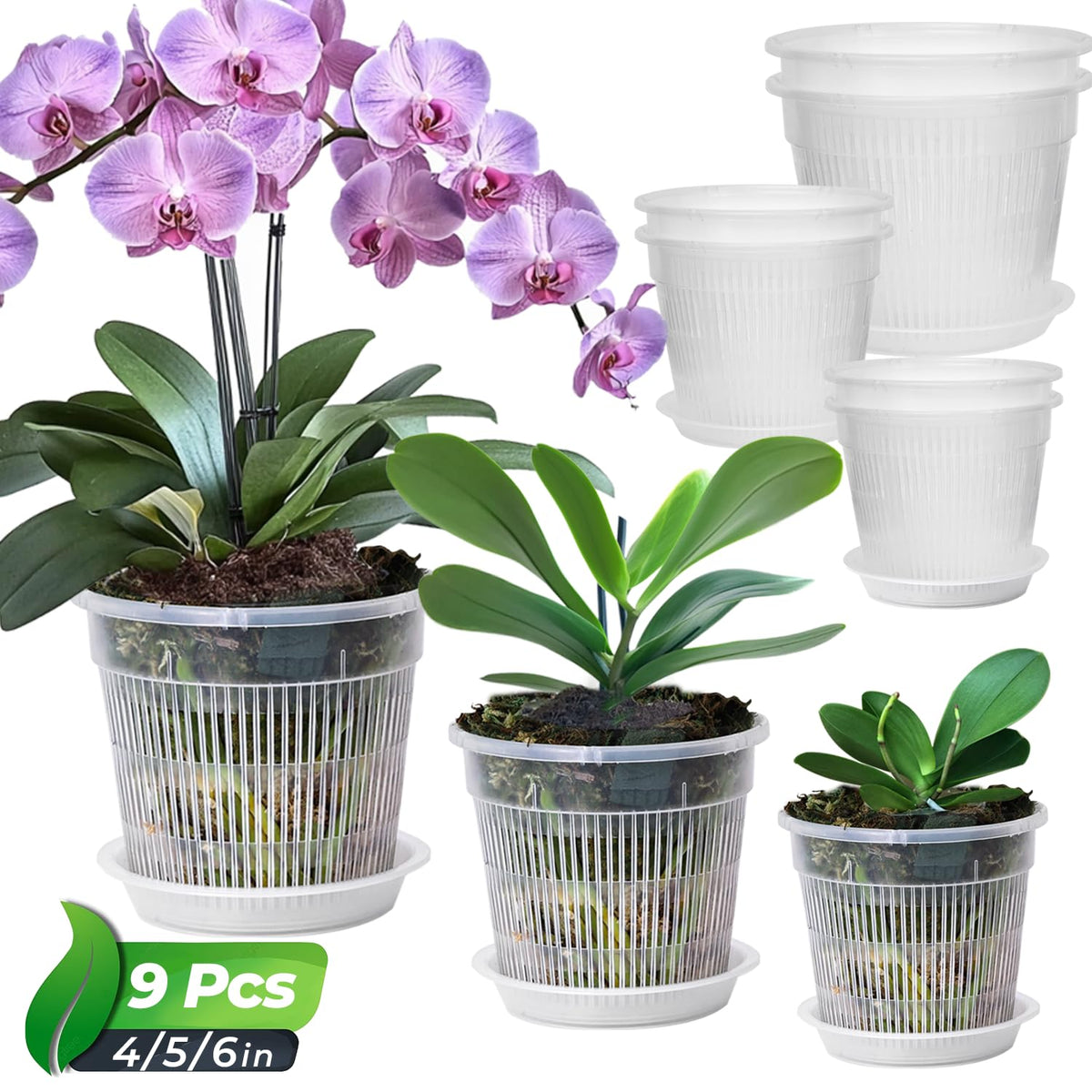 T4U Clear Orchid Pots 4.3 inch front view
