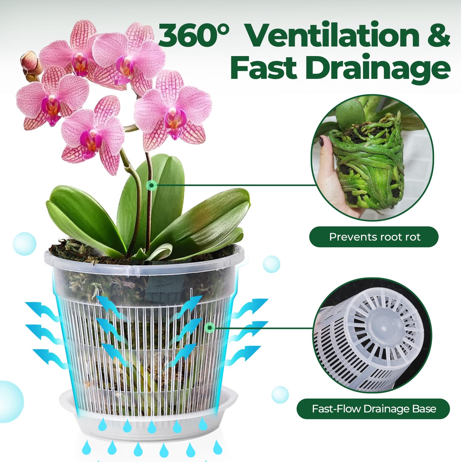 T4U Clear Orchid Pots 6.3 inch side view